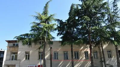 Апартамент Ира 1