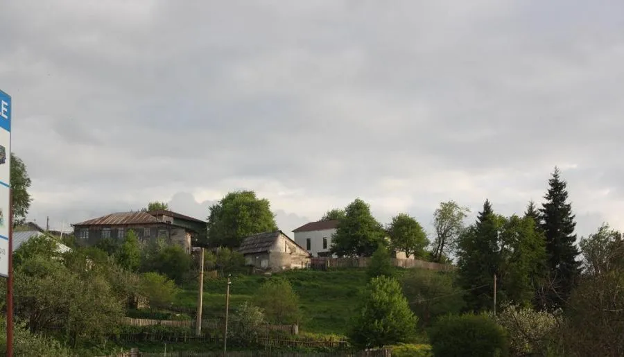 Сладкий дом Бакуриани — Фото 26