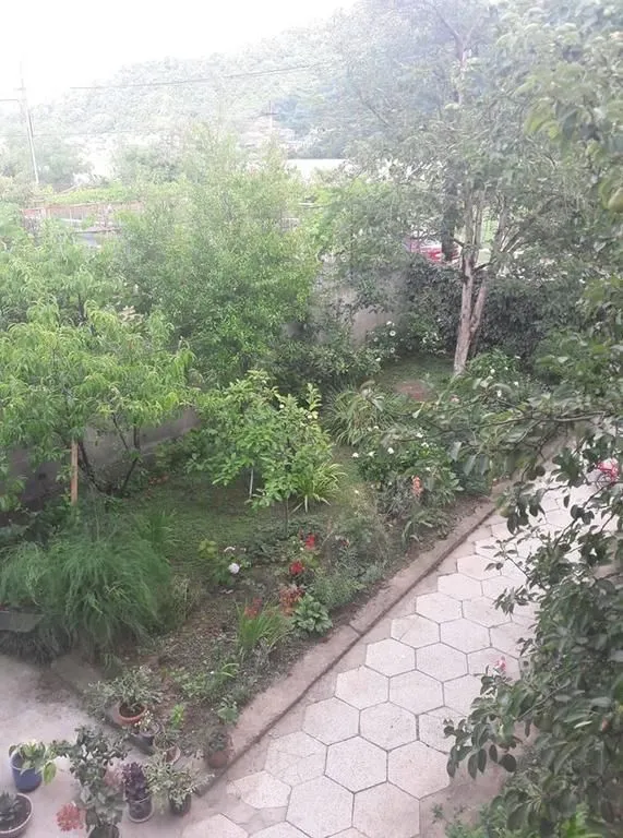 Зеленый Двор — Фото 14