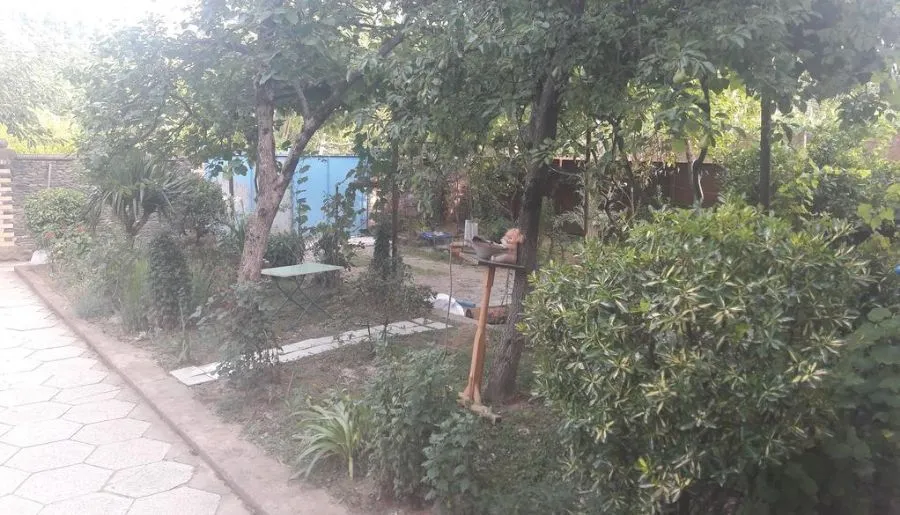 Зеленый Двор — Фото 3