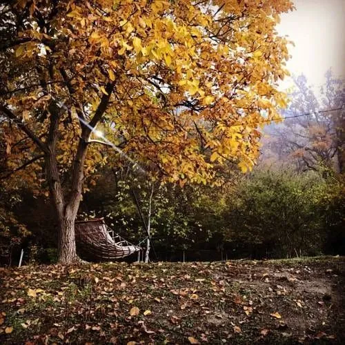 Панорама — Фото 5