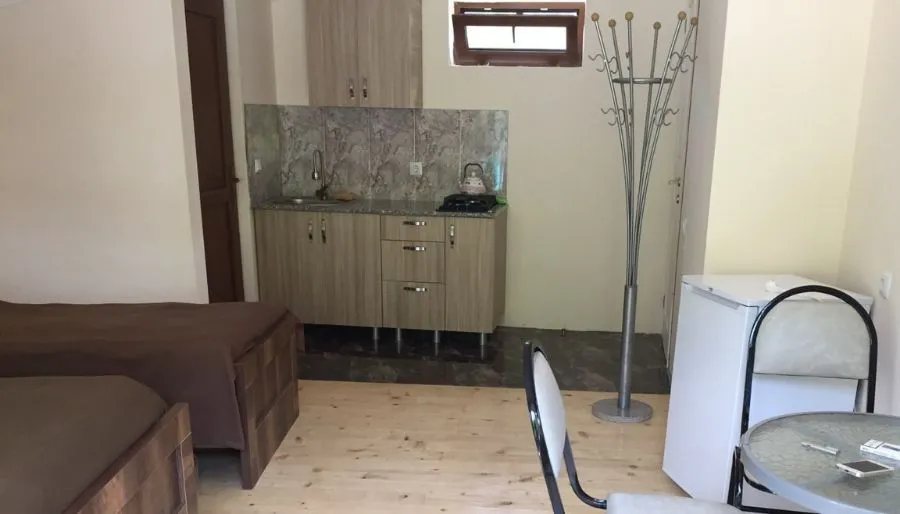 Отдых в Боржоми — Фото 90