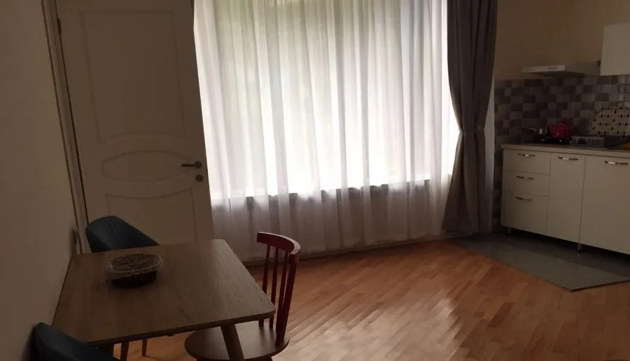 Отдых в Боржоми — Фото 88