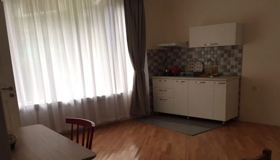 Отдых в Боржоми — Фото 56