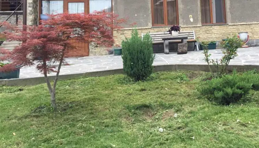 Отдых в Боржоми — Фото 25