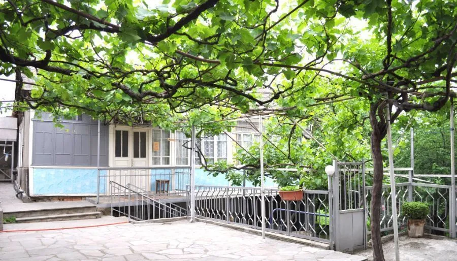 Asureti guest house — Фото 16