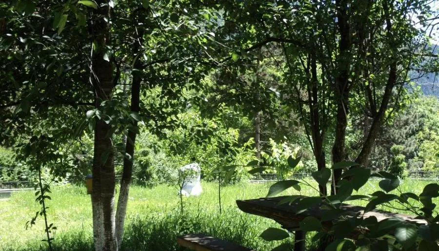 EcoRest - Likani Palace — Фото 27