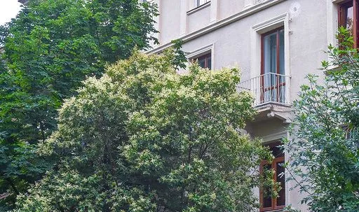 Эксклюзивная квартира в самом сердце Старого Кутаиси — Фото 3