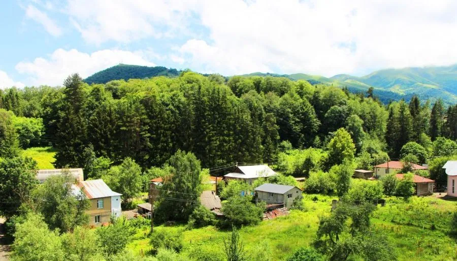Hilltop Bakuriani — Фото 15