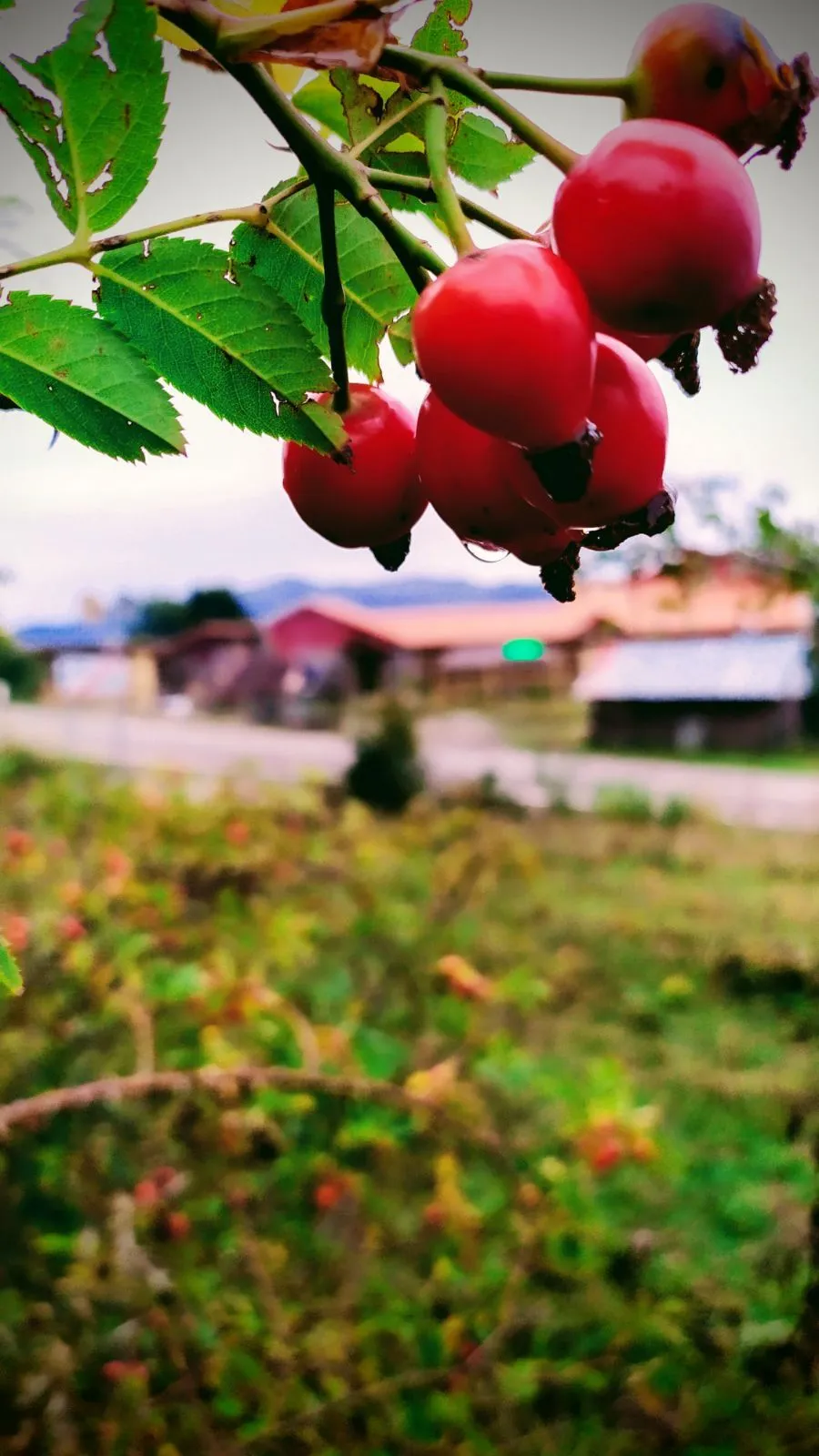 Панорама плюс — Фото 25