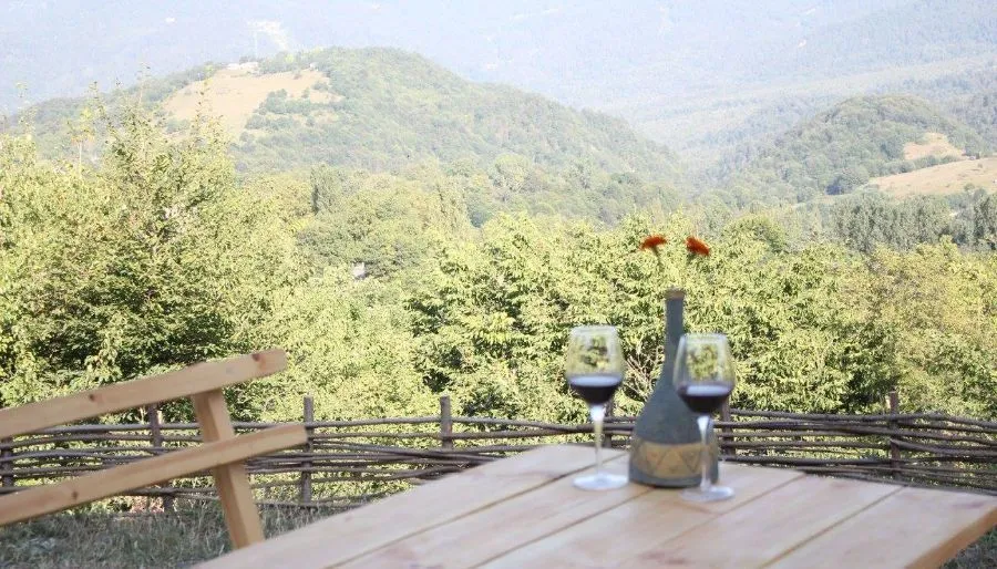 Панорама плюс — Фото 32