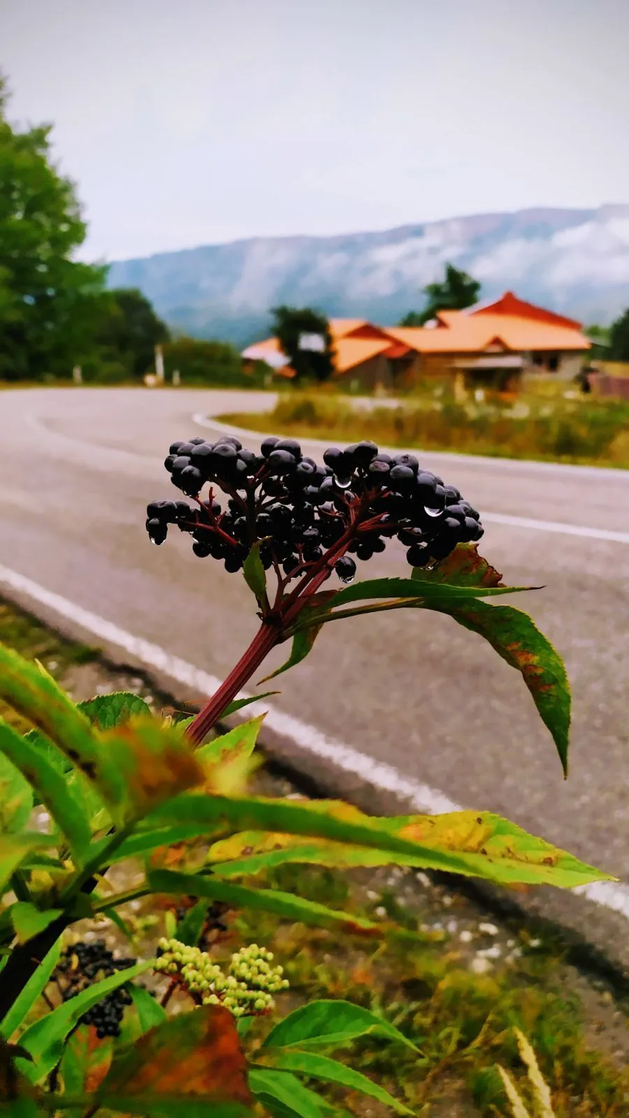 Панорама плюс — Фото 29