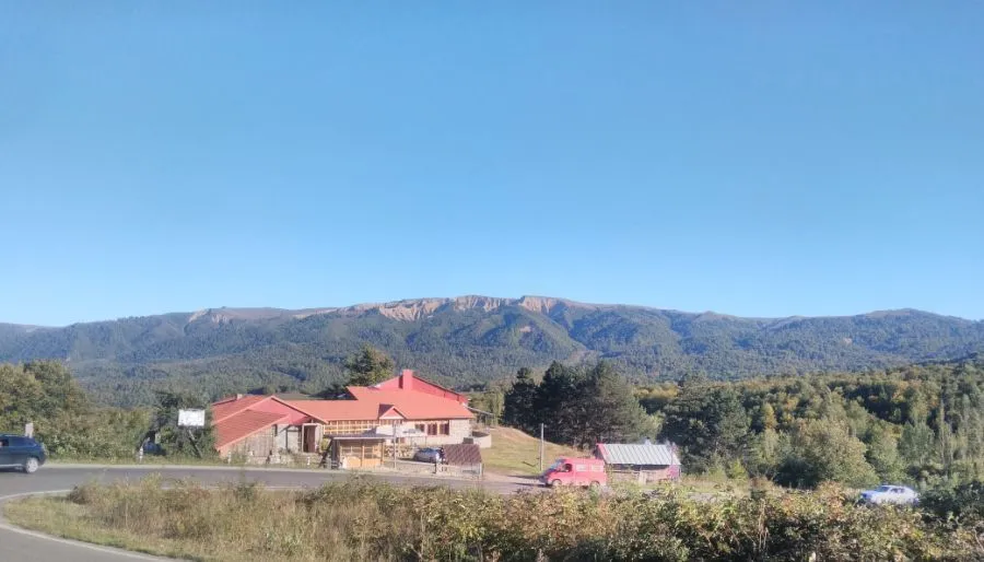 Панорама плюс — Фото 18