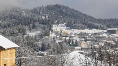 Гнездо