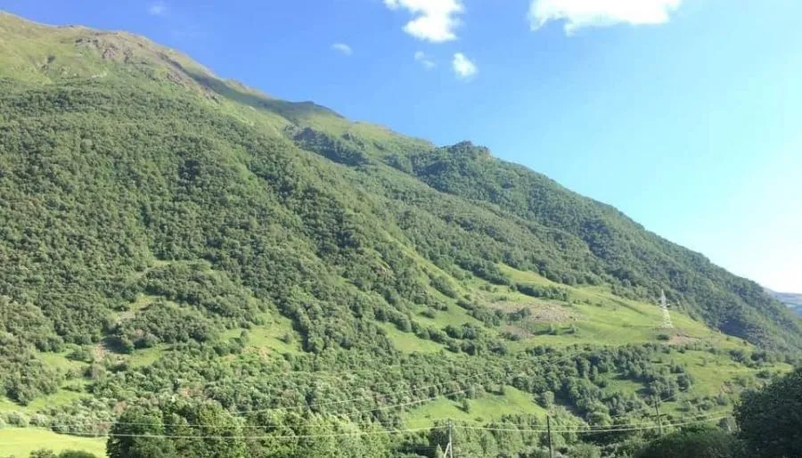 Голд Казбеги — Фото 7