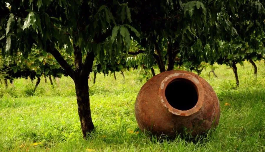 Погреб Шалошвили — Фото 13