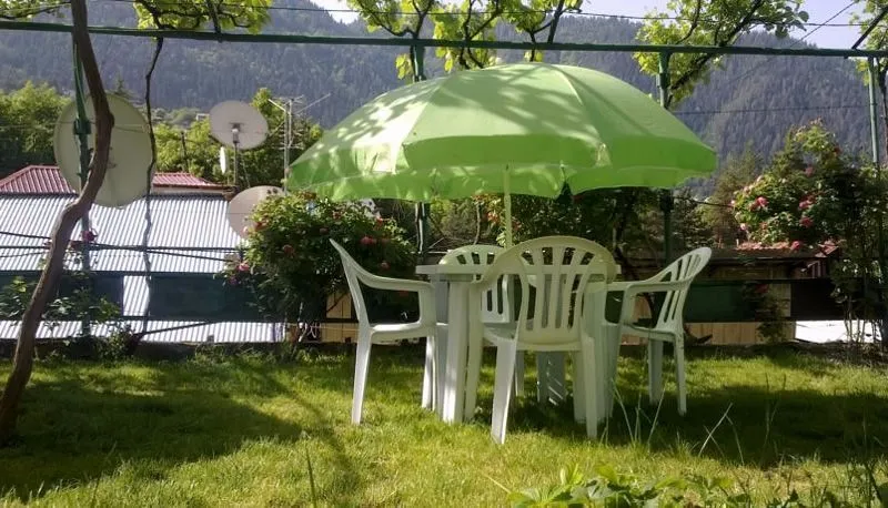 Зелёная роза — Фото 24