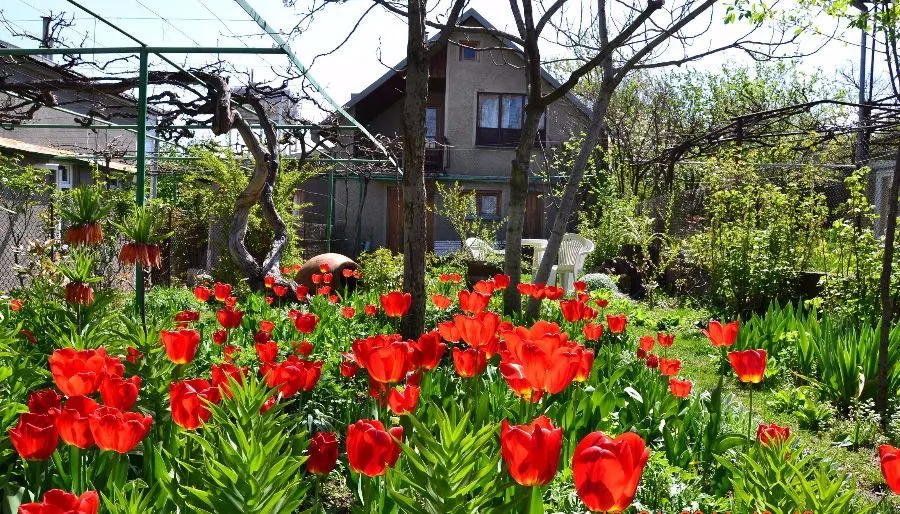 Дом-гостиница Милорава и винный погреб — Фото 10