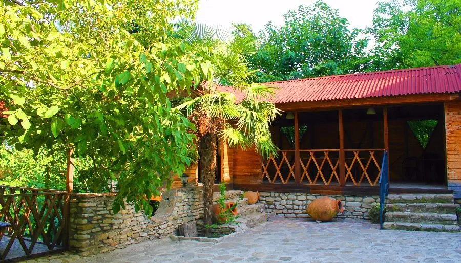 Реби Гурджаани — Фото 11