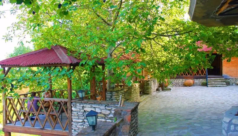 Реби Гурджаани — Фото 5