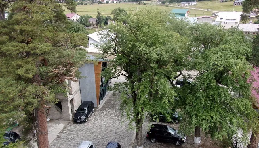 Хиллсайд Бакуриани — Фото 12