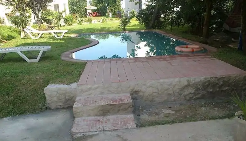 Гога — Фото 2