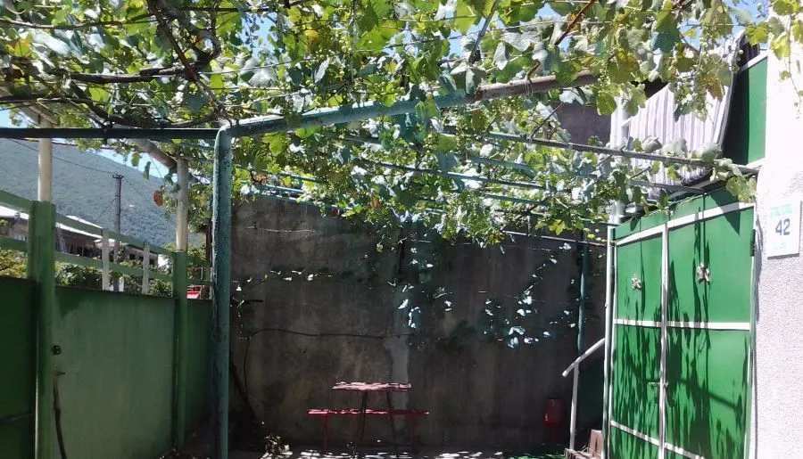 Гугиа — Фото 1