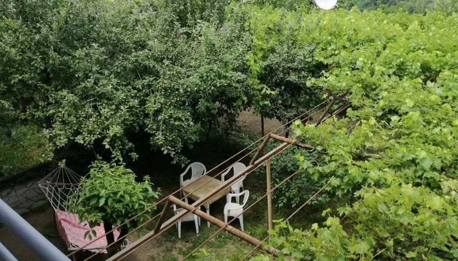 Гостевой дом Ирма — Фото 17