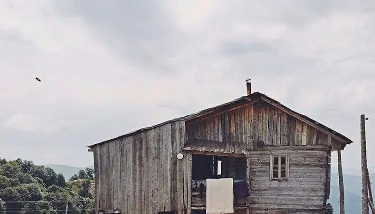 Палитра — Фото 3