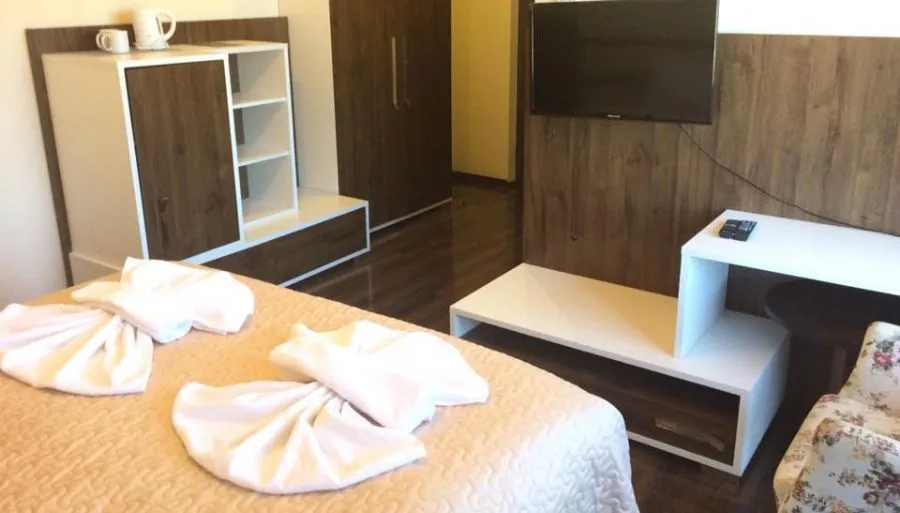 Тревел Инн Бакуриани — Фото 48
