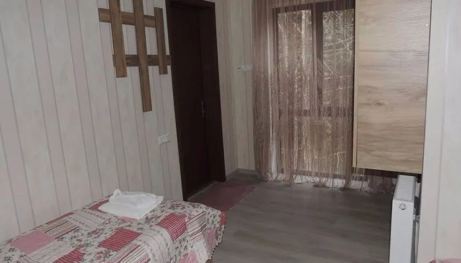 Панорама Бакуриани — Фото 30
