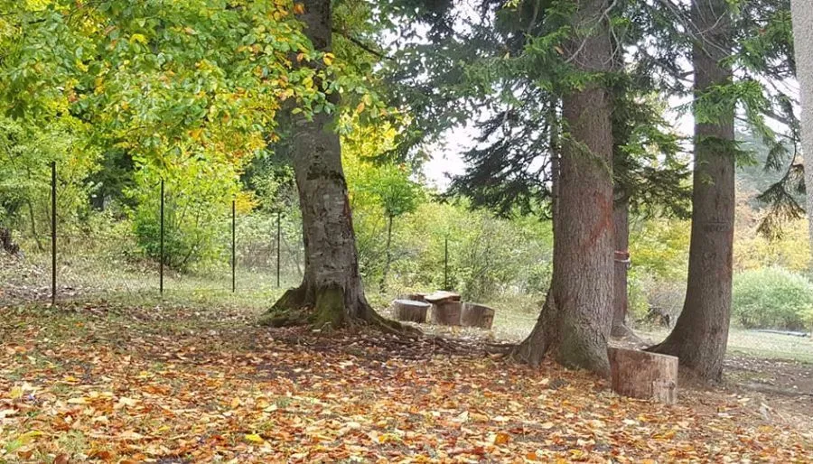 Панорама Бакуриани — Фото 2