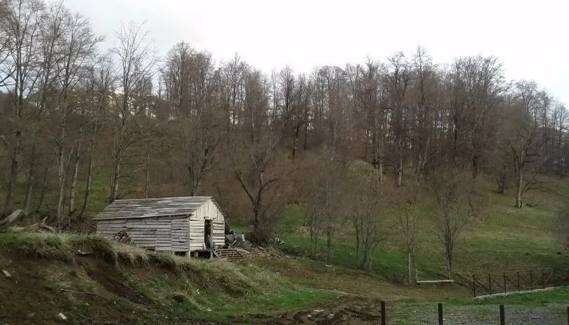 Квартира в отеле К2, №26 — Фото 11