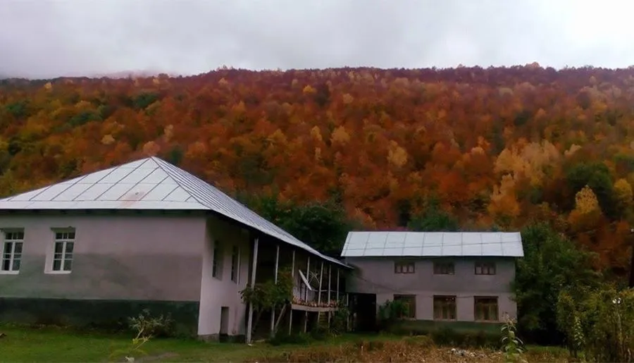 Дали Калдани — Фото 3