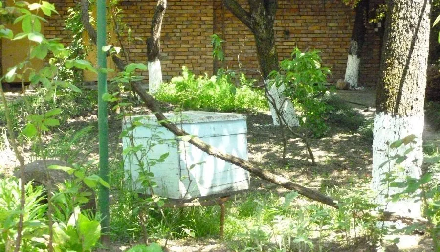 Гурджаани — Фото 6
