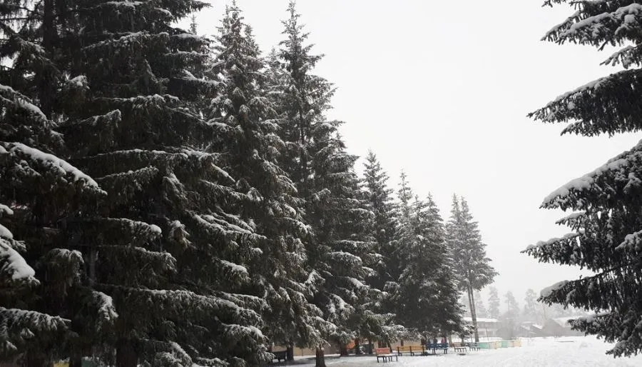 Бакуриани сити — Фото 2