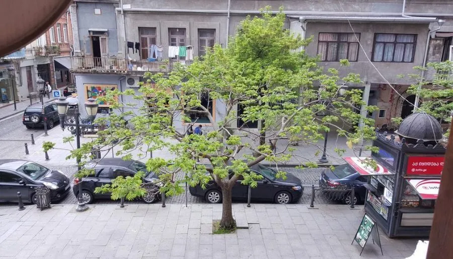 Квартира Мэри на Мелашвили — Фото 2